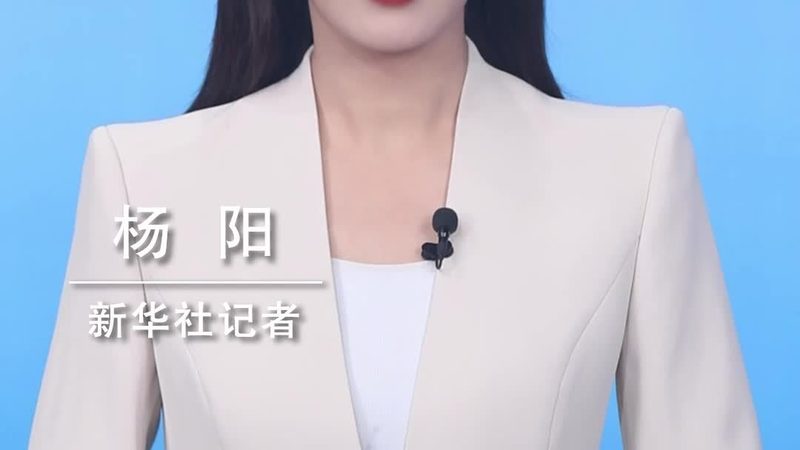 数据仓库选型：揭秘企业决策背后的关键因素